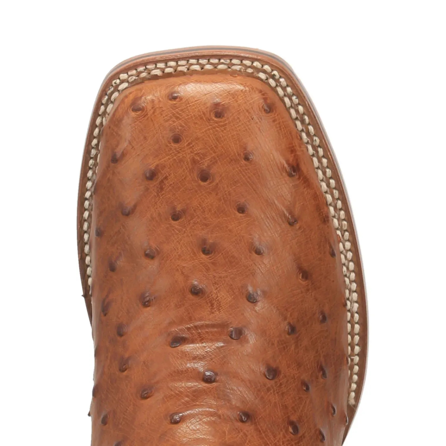 DAN POST ALAMOSA FULL QUILL OSTRICH BOOT - BAY APACHE