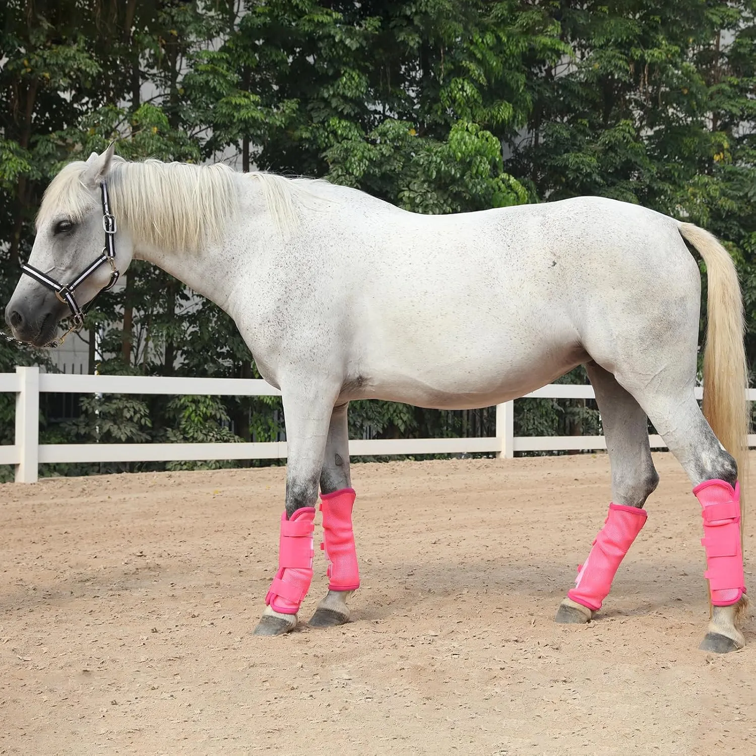 Fly Boots for Horses Set of 4, Non-Slip Horse Fly Boots, Comfy Airflow Mesh, No More Stomping & Horsefly Nuisance Pink Cob