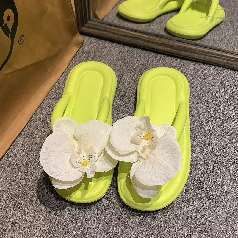 Lily footwear