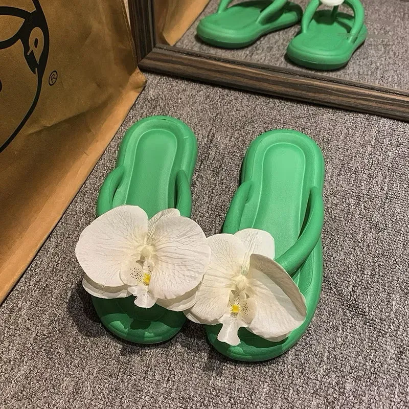 Lily footwear