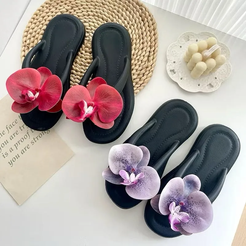 Lily footwear