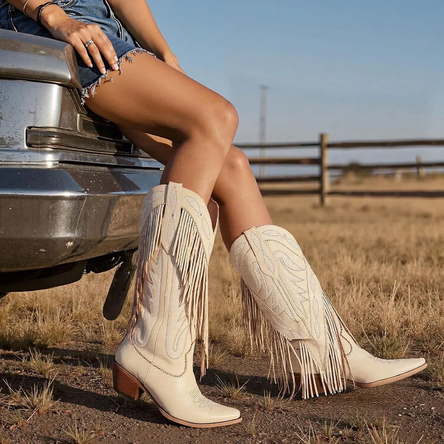 Mattiventon Cowboy Boots for Women Fringe Knee High Cowgirl Western Boots with Classic Embroidery Pointed Toe Chunky Heel for Weddings Parties