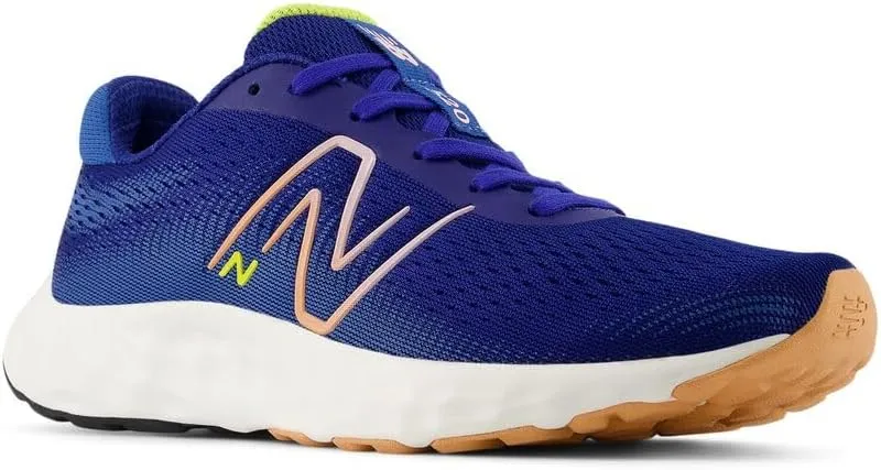 New Balance Women's 520 V8 Running Shoe