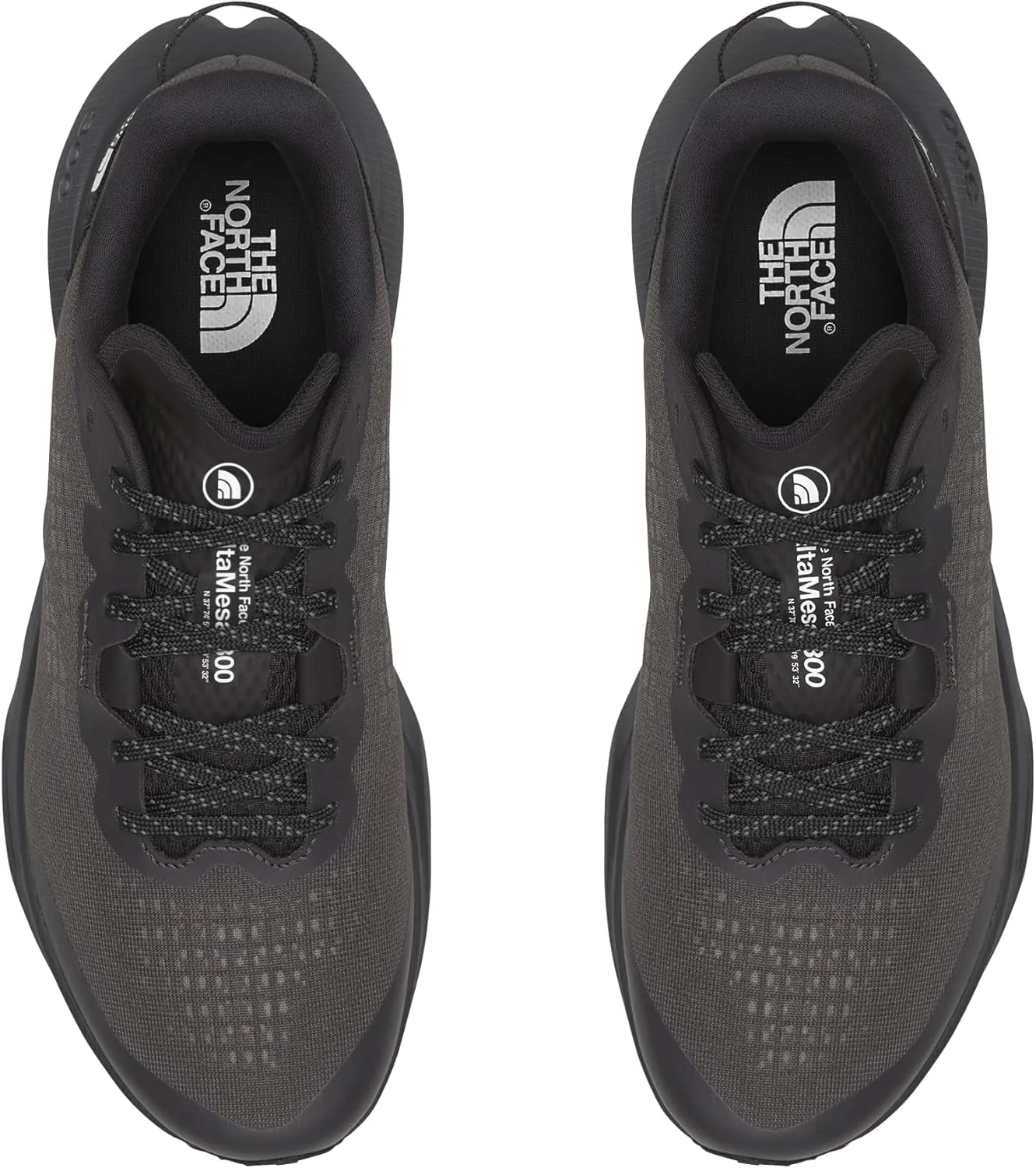 THE NORTH FACE Men's Altamesa 300 Hiking Shoe