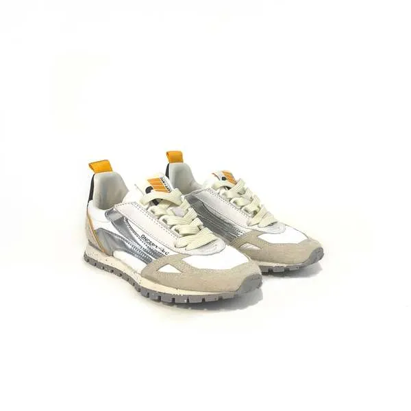 TORONTO in Silver Flash